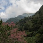 Taroko Park 2